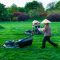 When to Do Seasonal Lawn Care for a Healthy Yard?