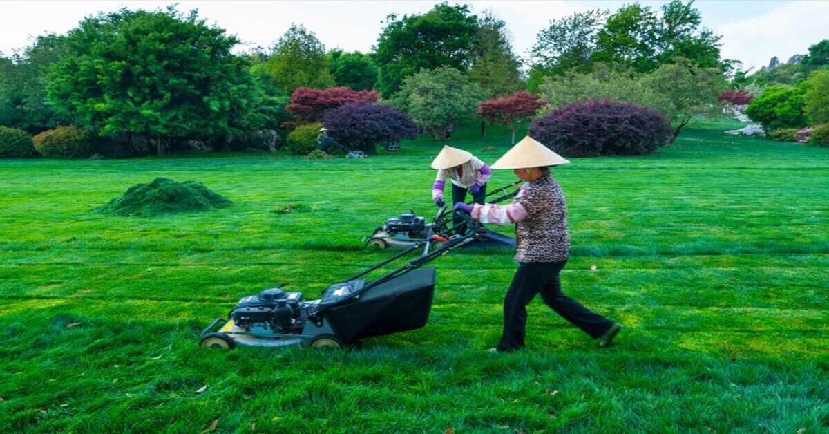 When to Do Seasonal Lawn Care for a Healthy Yard?