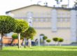 How to Choose the Right Trees for Garden Design?