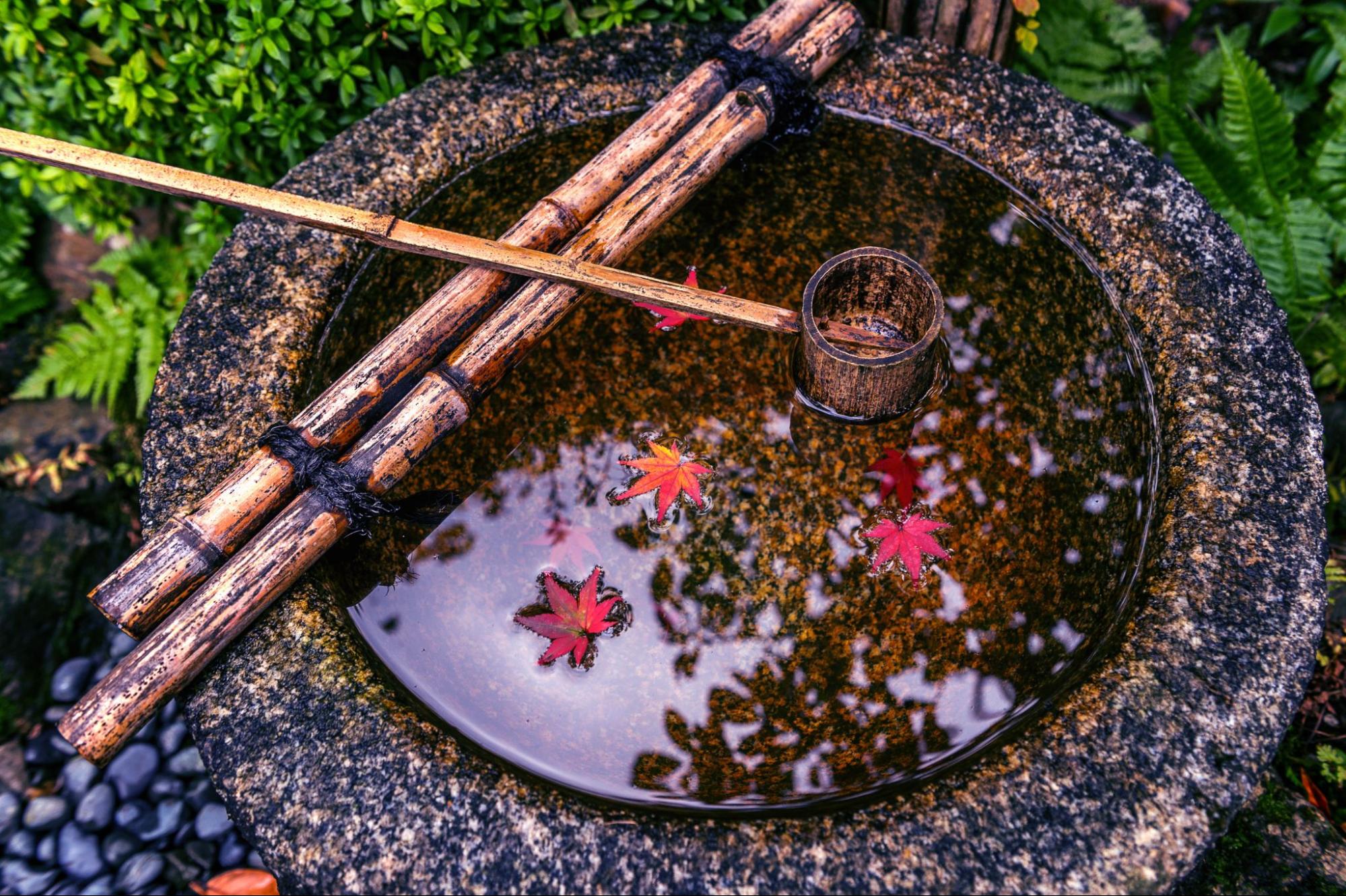 Professional Pond Services: Key Benefits for Your Backyard