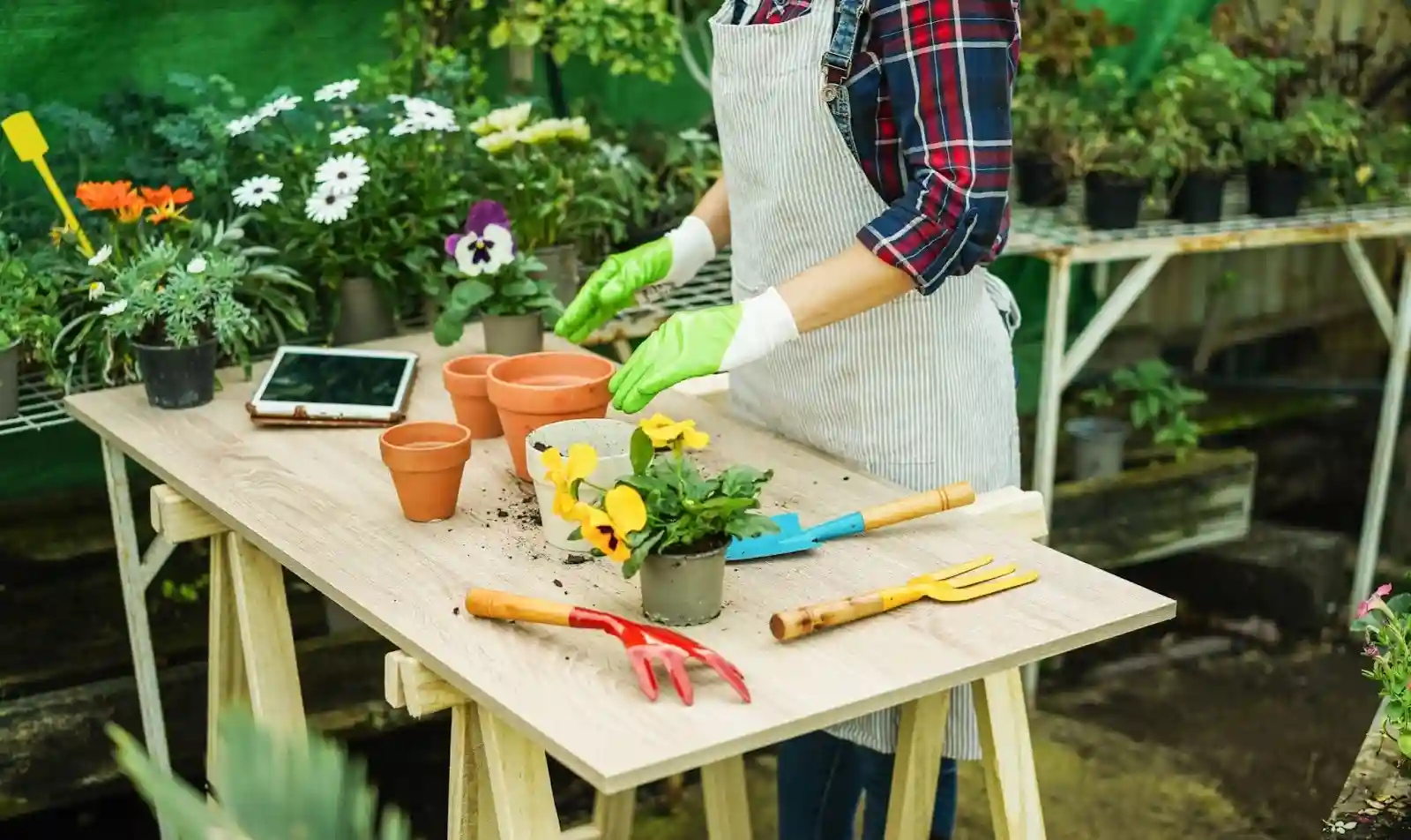 garden design planning