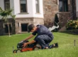 seasonal lawn care