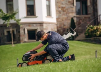 seasonal lawn care