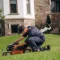 seasonal lawn care