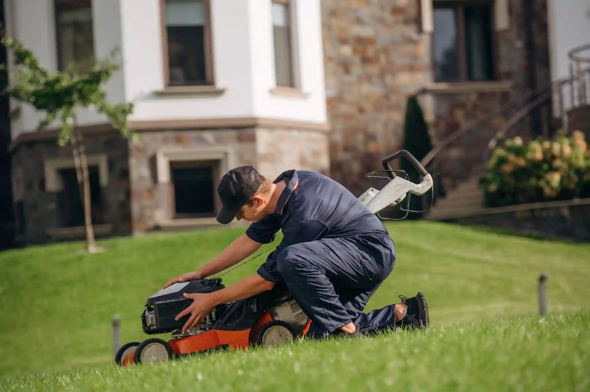 seasonal lawn care