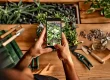 Garden design apps