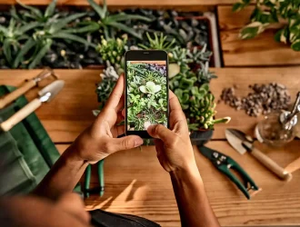 Garden design apps