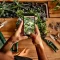 Garden design apps