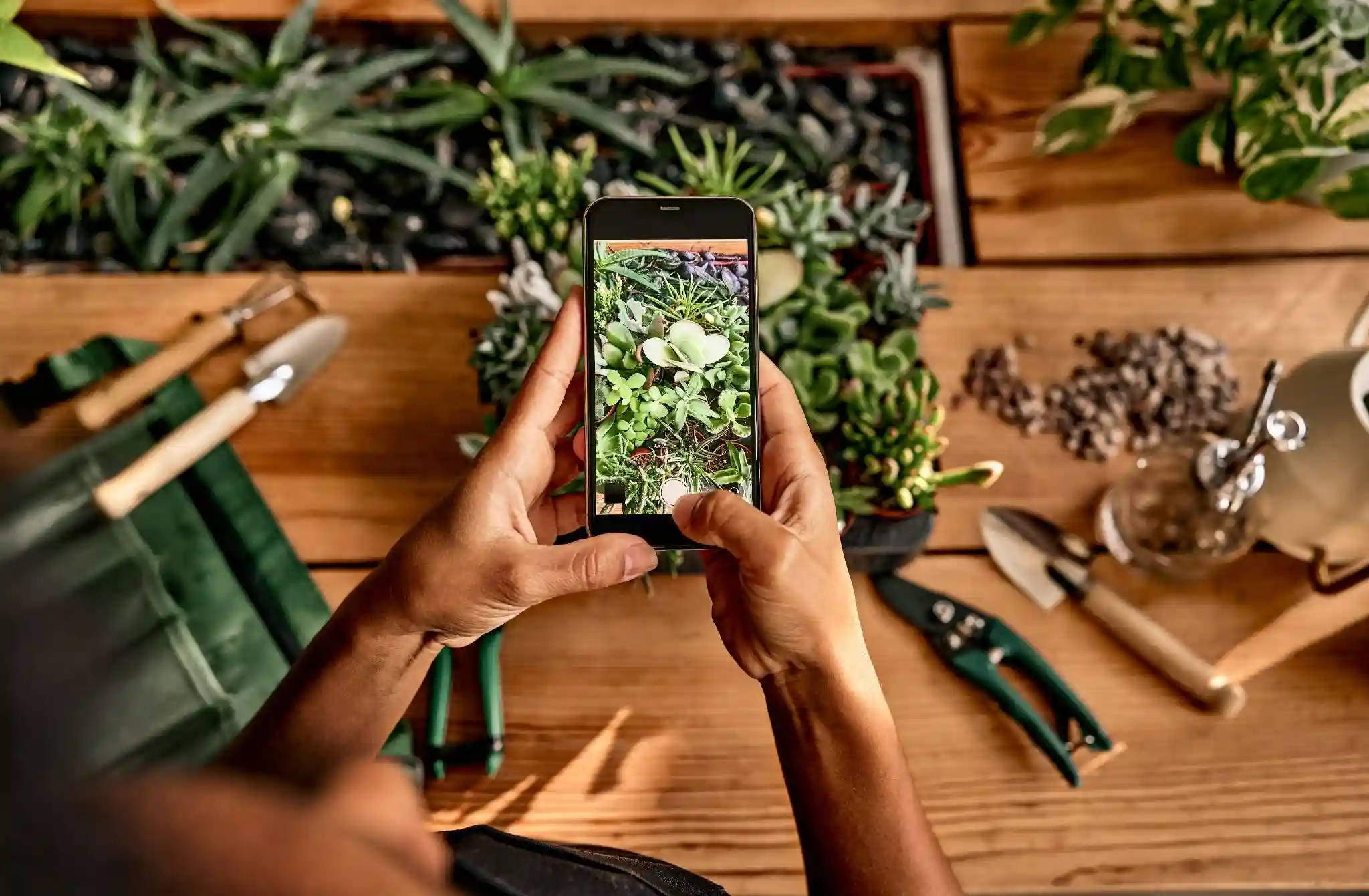 Garden design apps
