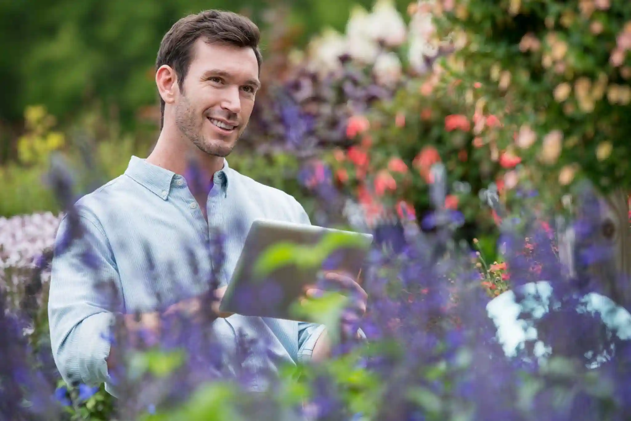 landscape designers