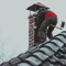 chimney cleaning