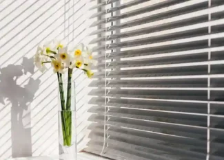 roller shades