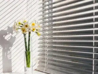 roller shades