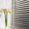 roller shades
