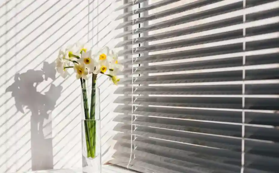 roller shades
